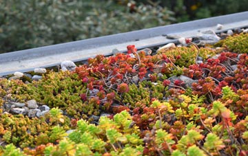 the cost of Eastoke green roof installation
