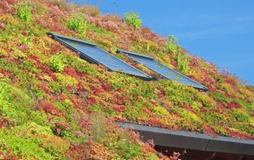 Eastoke living roof systems